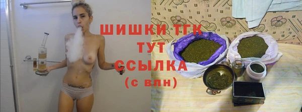 MESCALINE Гусев