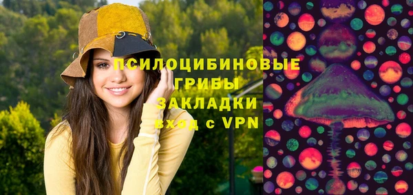 прущие крисы Гусь-Хрустальный