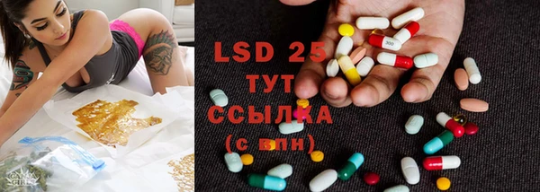 MESCALINE Гусев