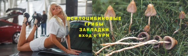марки nbome Гусиноозёрск