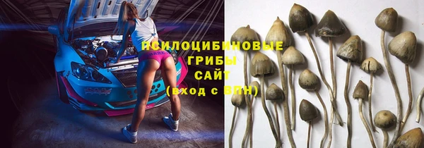 марки nbome Гусиноозёрск